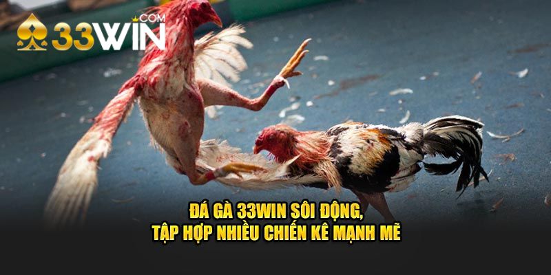 Giới thiệu đá gà 33win